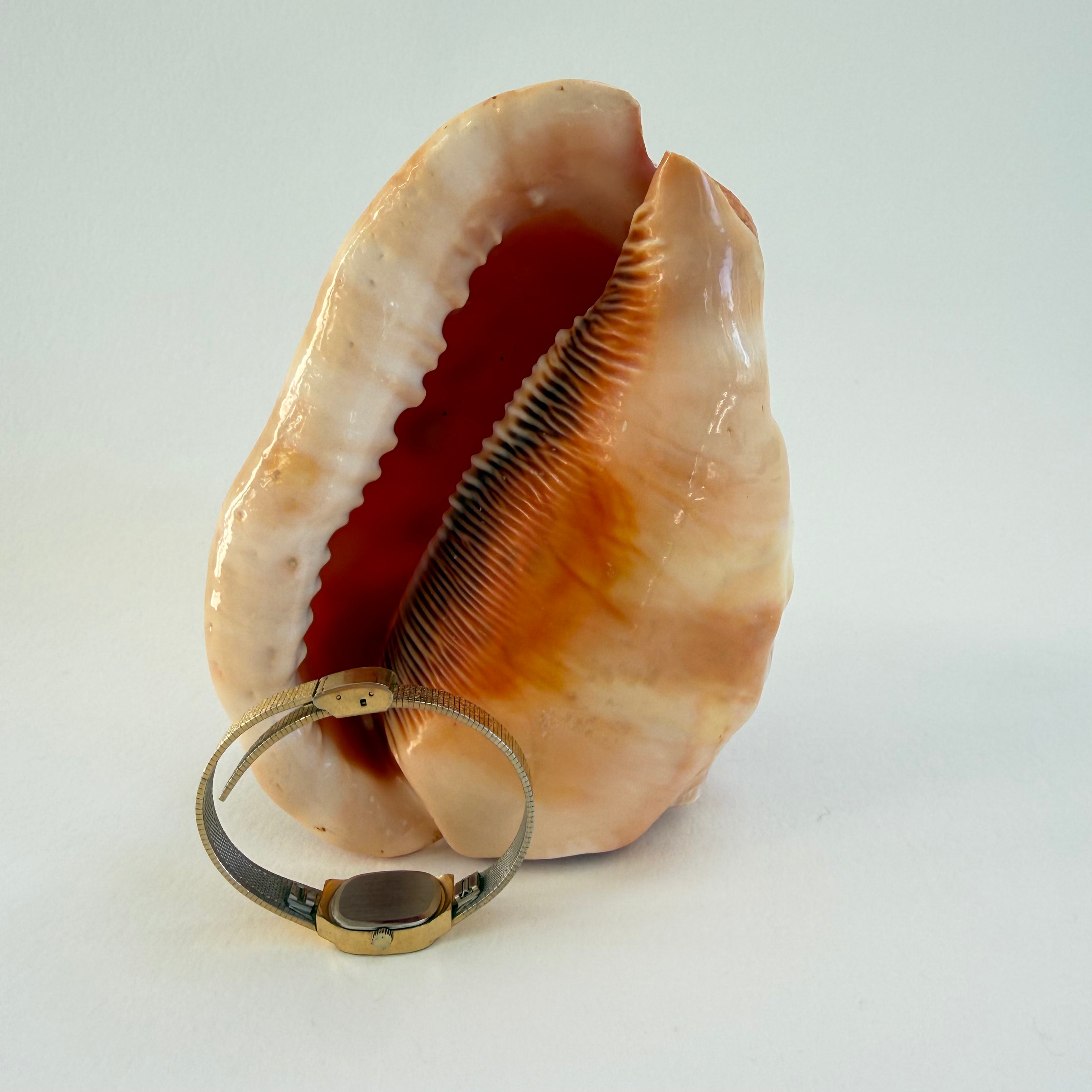 GOLD OVAL WRIST WATCH