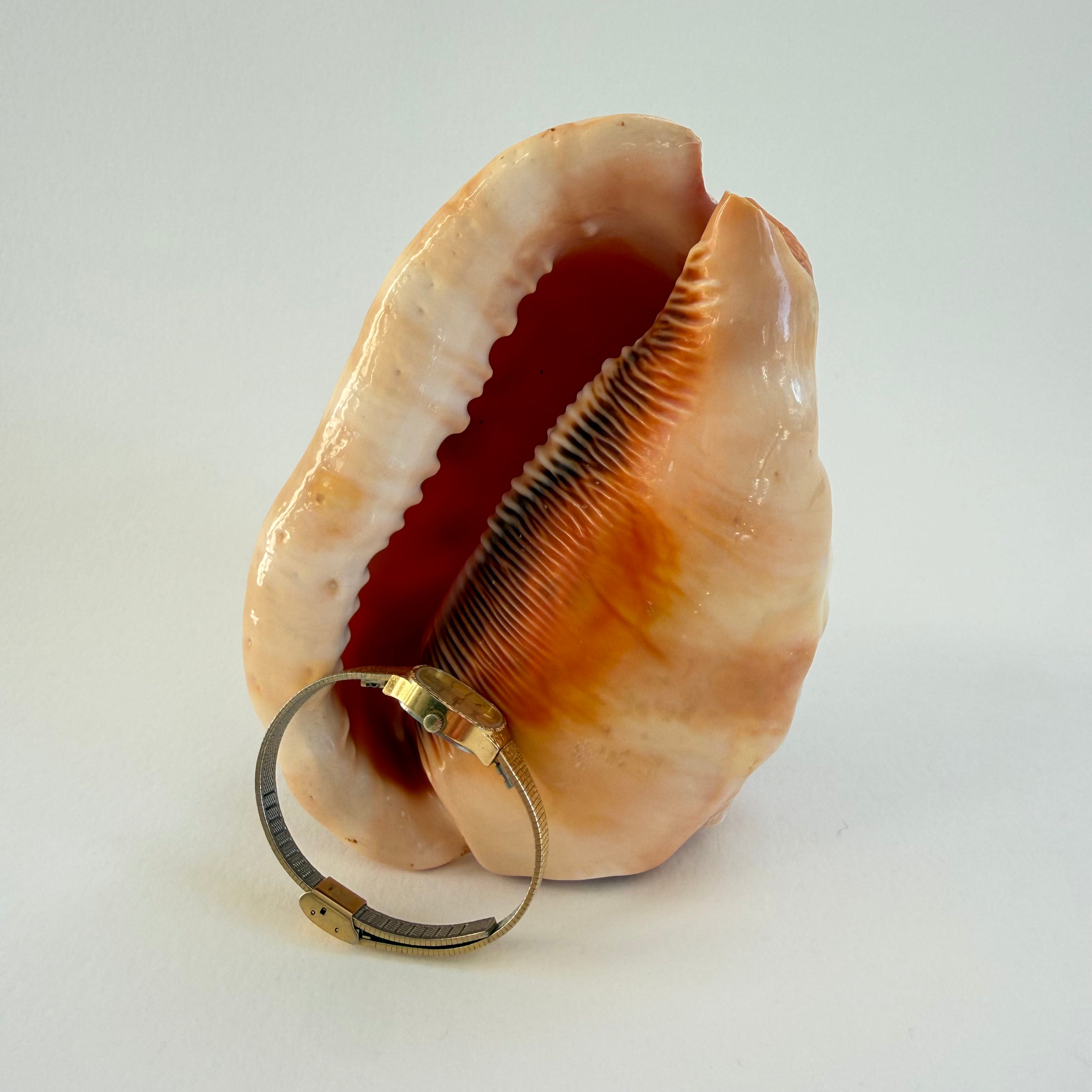 GOLD OVAL WRIST WATCH